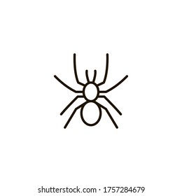 The icon of spider. Outline illustration vector. Pictogram for web page, mobile app, promo. UI UX GUI design element. Editable stroke. Vector.