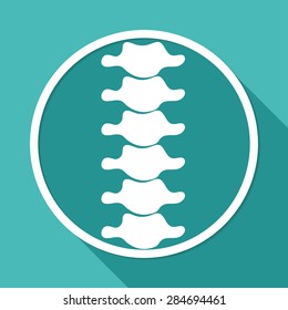 Icon Spine diagnostics on white circle with a long shadow