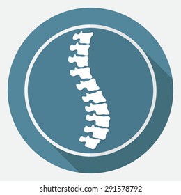 Icon Spine diagnostics on white circle with a long shadow