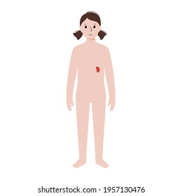 Icon Of Spleen In Child Body. Isolated Woman Silhouette. Immune System Concept. Examination Of Girl Internal Organs. Anatomical Poster. Medical Banner Flat Vector Illustration For Clinic Or Education