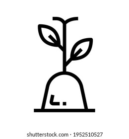 Icon Sprout With Style Outline 