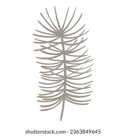 Icon of spruce, fir, cedar or pine twig. Winter coniferous plants for Christmas cards, decorations
