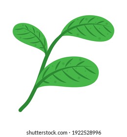 icono de tallo con hojas verdes sobre fondo blanco, diseño colorido, ilustración vectorial