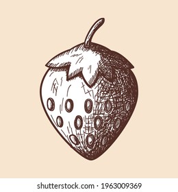 Icon Of Strawberry. Hand Drawn Sketch. Retro Vintage Design. Vector Illustration.