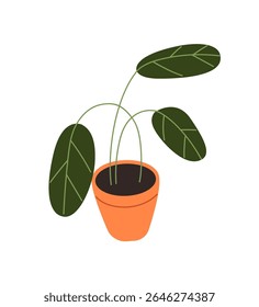 Icon of Strelitzia in flowerpot. Houseplant with big green leaves in ceramic pot. Exotic plant, tropical floral home decor. Interior decoration. Flat isolated vector illustration on white background