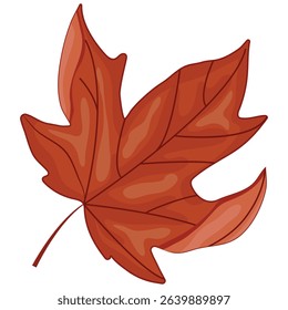 icon of the symbol of Canada, namely the red maple leaf, for Canada Day or autumn designs