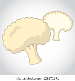 icon tasty Vegetable Cauliflower, isolated object on a white background