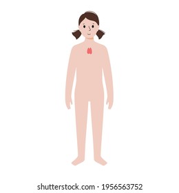 Icon of thyroid in human body. Isolated girl silhouette. Immune system concept. Examination of child internal organs. Anatomical poster. Medical banner flat vector illustration for clinic or education