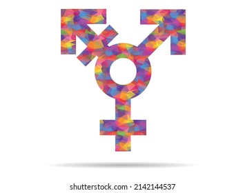 icon transexual low poly colorful