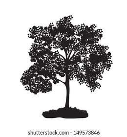 icon tree with lush foliage.