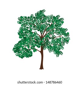 icon tree with lush green foliage.