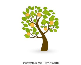 Icon of a tree with oranges. Nature and food. Organic