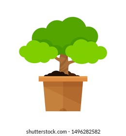 icon tree pot isolated on white, potted tree for clip art cartoon, illustration pot tree small for symbol gardening shop, floral pot icon or flowerpot, trees pot flat graphic simple