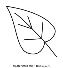 icon of tropical leaf over white background, line style, vector illustration