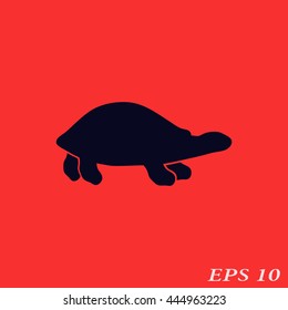 Icon turtle.