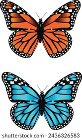 Icon of two stunning butterflies