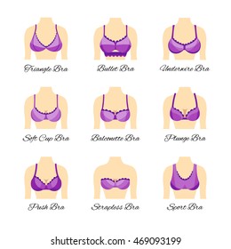 Icon types of bra. Kinds of bras