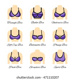 Icon types of bra. Kinds of bras
