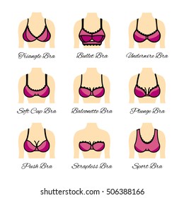 Icon types of bra. Kinds of bras