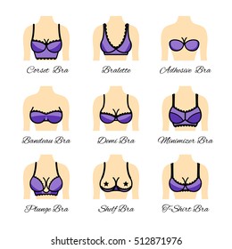 Icon types of bra. Kinds of bras