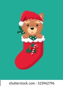 icon vector Dog Yorkshire Terrier. Puppy wearing a red Christmas hat and green scarf with a star pattern. Yorkshire terrier sits in a New Year's sock for gifts. Sock decorated with mistletoe and candy