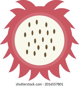 icon vector of fresh dragon fruit