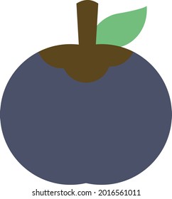 icon vector of fresh mangosteen