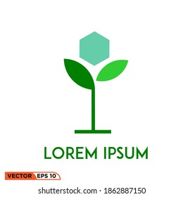 Gráfico vectorial de icono de una plantilla de logotipo de planta hexagonal