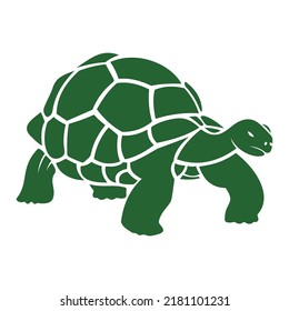 Icon vector for green tortoise