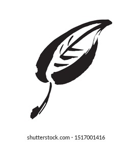 Icon vector leaf. Eco nature healthy concept. Green natural plant symbol. Logo sign design. Modern brush ink illustration isolated on white background