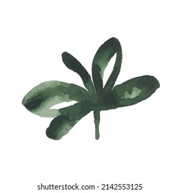 Icon vector leaf. Eco nature healthy concept. Green natural plant symbol. Logo sign design. Modern brush ink illustration isolated on white background