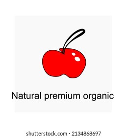 Icon vector of a modern design of a red apple, which can be used as a concept for ecology, bio-food, etc. 