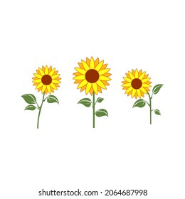 Icon Vector sunflower with green leaf stem, suitable for web icon, etc.