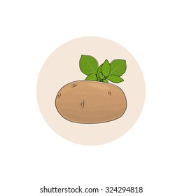 Icon Vegetable Potatoes with Leafs ,Icon Edible Fruit, Vector Illustration