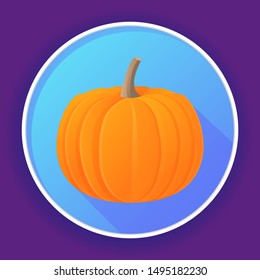 Icon with vegetable pumpkin. Concept for vegan sites, eco food. Realistic vector illustration.Isolated on a blue background.