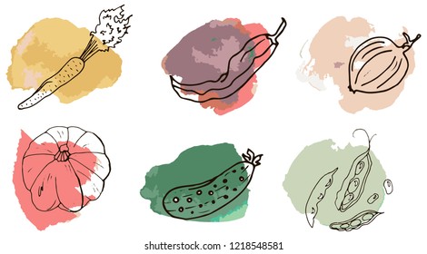 Icon vegetables with watercolor background. Vegetables with black outline. Vector in color.