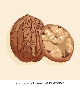 Icon of a walnut in the shell and half peeled. Walnut kernel. Realistic vector image of a nut. Food icons.
