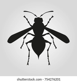 Icon of wasp silhouette on the white background. Vector illustration.