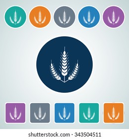 Icon of Wheat Ears in Multi Color Circle & Square Shape. Eps-10.