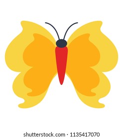 
An icon where flire like flames design is used for butterfly icons
