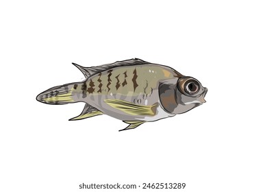 icon without a background of a tilapia fish