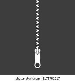 Icon zipper. Zippered lock. Closed zipper. Fastener. Vector illustration