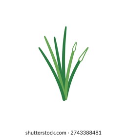 Icon-Friendly Flat Vector of Green Chives with Stylized Flower Buds