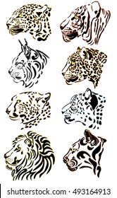 Icons of big cats
