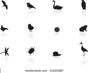 Icons of birds and insects