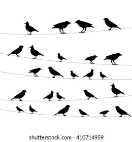 icons birds on wires against a white background,vector illustration