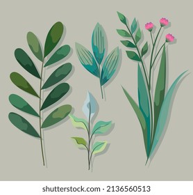 iconos con ramas verdes del bosque