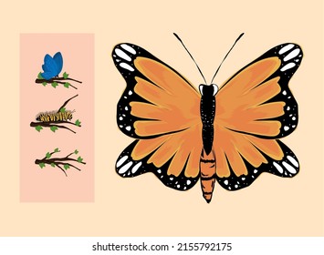 icons butterfly and caterpillar design