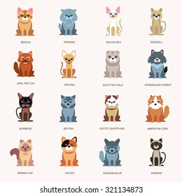 icons cats. Breed cats. Cats in a flat style. Large Icons breeds of cats