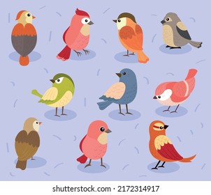 icons collection birds vector design